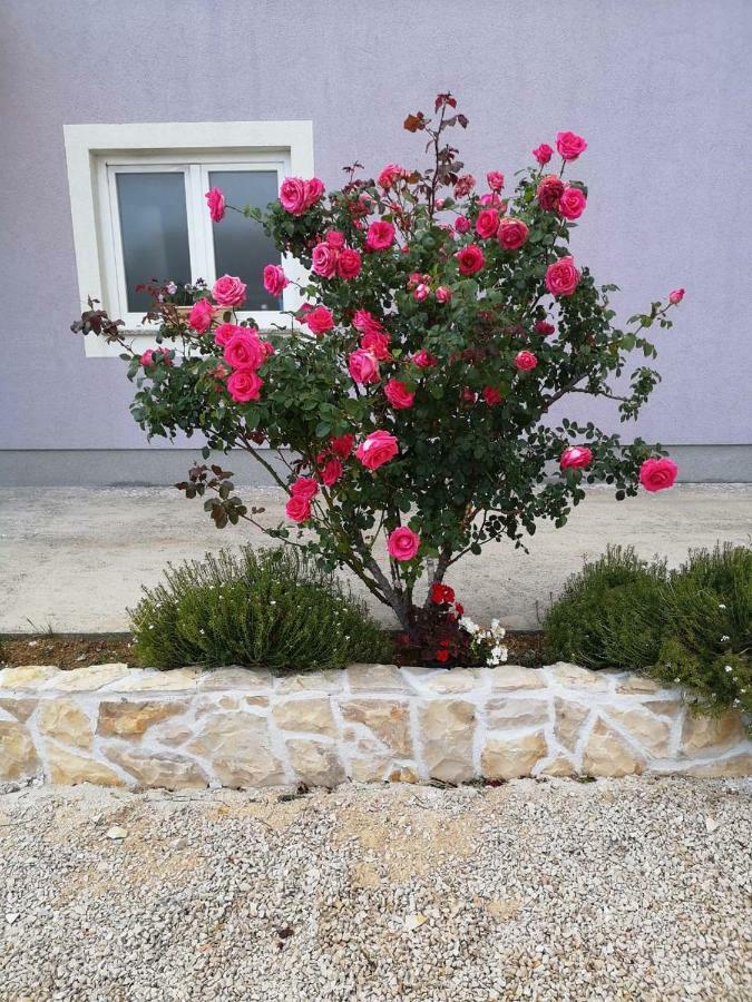 Holiday Home Lucić Lozovac Exterior foto